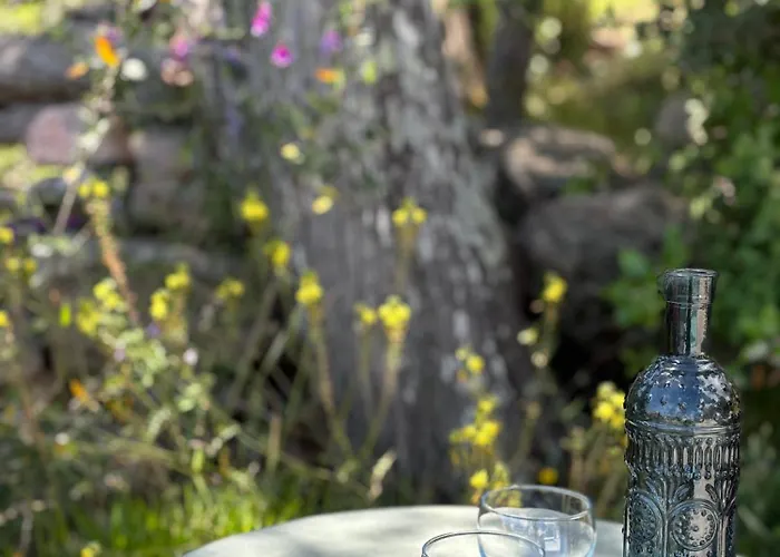 Giulia Holiday home *